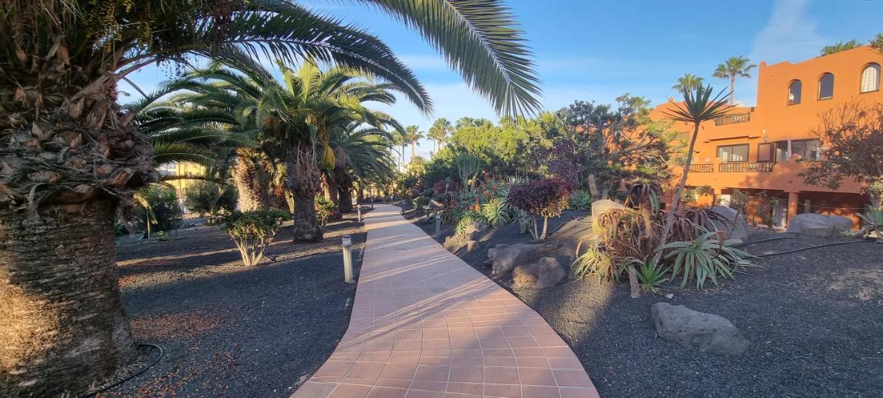 Апартаменты Oasis Royal 3 Piscinas Коральео Экстерьер фото